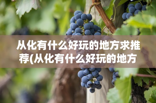 从化有什么好玩的地方求推荐(从化有什么好玩的地方)