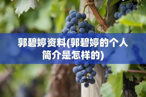 郭碧婷资料(郭碧婷的个人简介是怎样的)