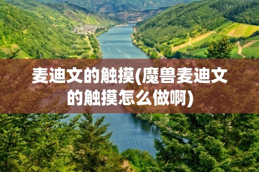 麦迪文的触摸(魔兽麦迪文的触摸怎么做啊)