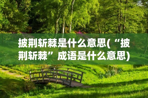披荆斩棘是什么意思(“披荆斩棘”成语是什么意思)