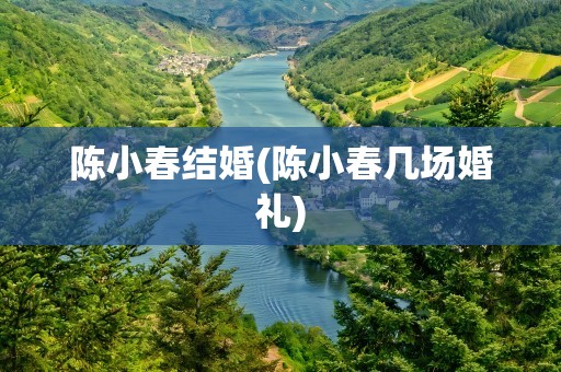 陈小春结婚(陈小春几场婚礼)