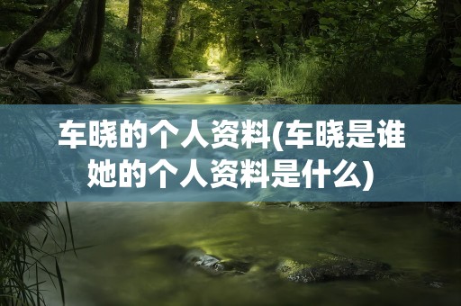 车晓的个人资料(车晓是谁她的个人资料是什么)