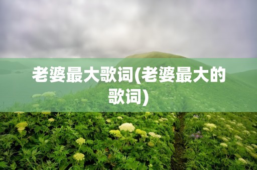 老婆最大歌词(老婆最大的歌词)