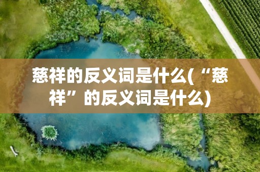 慈祥的反义词是什么(“慈祥”的反义词是什么)