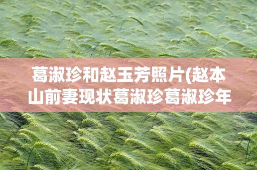 葛淑珍和赵玉芳照片(赵本山前妻现状葛淑珍葛淑珍年轻照片)
