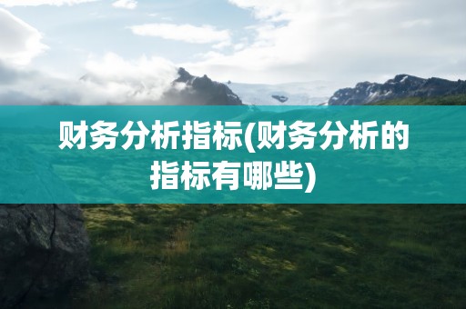 财务分析指标(财务分析的指标有哪些)