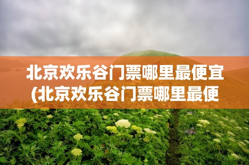 北京欢乐谷门票哪里最便宜(北京欢乐谷门票哪里最便宜的)