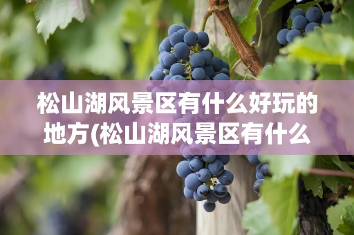 松山湖风景区有什么好玩的地方(松山湖风景区有什么好玩的地方吗)