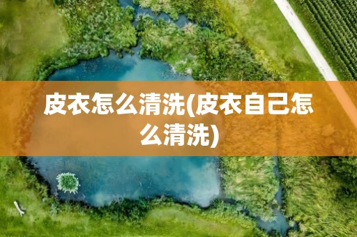 皮衣怎么清洗(皮衣自己怎么清洗)