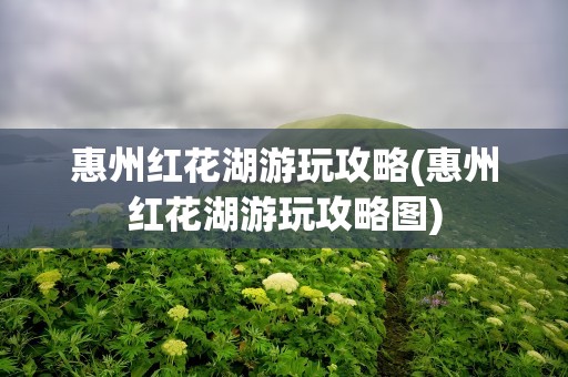 惠州红花湖游玩攻略(惠州红花湖游玩攻略图)