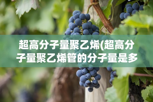 超高分子量聚乙烯(超高分子量聚乙烯管的分子量是多少)