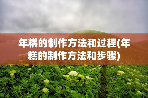 年糕的制作方法和过程(年糕的制作方法和步骤)