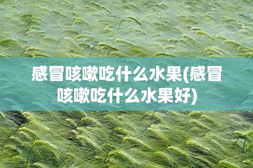 感冒咳嗽吃什么水果(感冒咳嗽吃什么水果好)