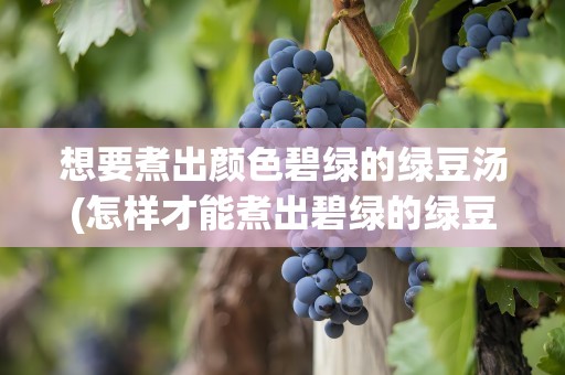 想要煮出颜色碧绿的绿豆汤(怎样才能煮出碧绿的绿豆汤)