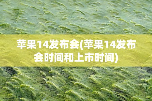苹果14发布会(苹果14发布会时间和上市时间)