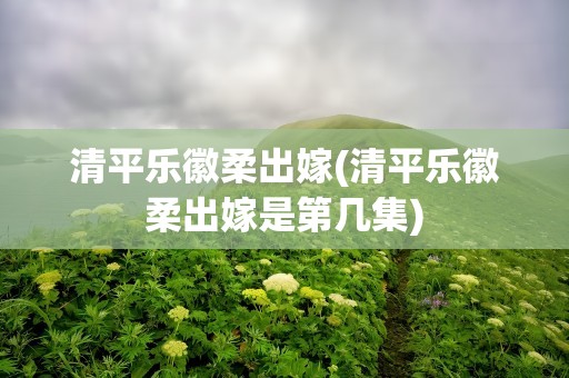 清平乐徽柔出嫁(清平乐徽柔出嫁是第几集)