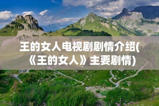 王的女人电视剧剧情介绍(《王的女人》主要剧情)