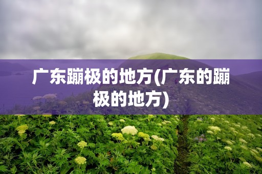 广东蹦极的地方(广东的蹦极的地方)