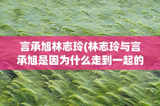言承旭林志玲(林志玲与言承旭是因为什么走到一起的)