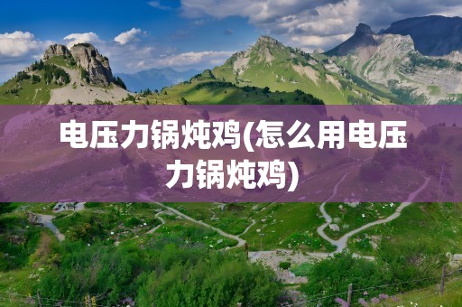 电压力锅炖鸡(怎么用电压力锅炖鸡)