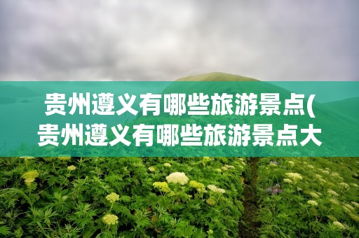 贵州遵义有哪些旅游景点(贵州遵义有哪些旅游景点大全)
