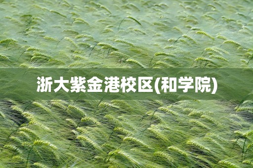 浙大紫金港校区(和学院)
