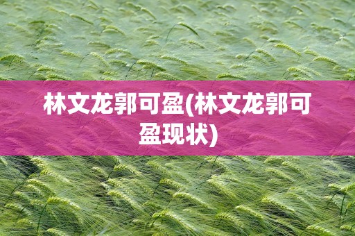 林文龙郭可盈(林文龙郭可盈现状)