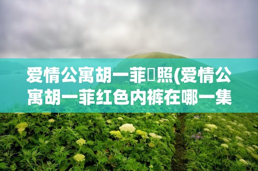 爱情公寓胡一菲婐照(爱情公寓胡一菲红色内裤在哪一集)