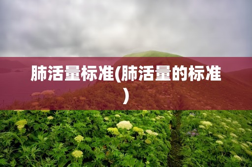 肺活量标准(肺活量的标准)