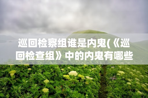 巡回检察组谁是内鬼(《巡回检查组》中的内鬼有哪些)
