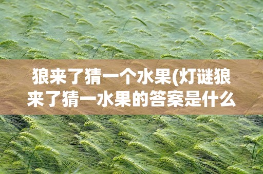 狼来了猜一个水果(灯谜狼来了猜一水果的答案是什么)