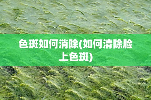 色斑如何消除(如何清除脸上色斑)