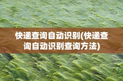 快递查询自动识别(快递查询自动识别查询方法)