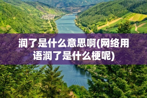 润了是什么意思啊(网络用语润了是什么梗呢)