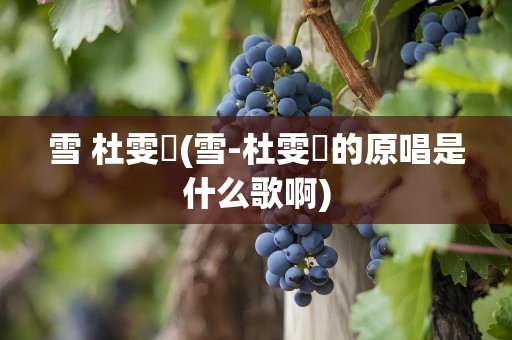 雪 杜雯媞(雪-杜雯媞的原唱是什么歌啊)