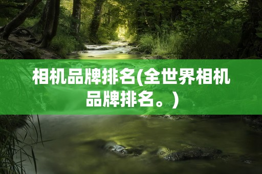 相机品牌排名(全世界相机品牌排名。)
