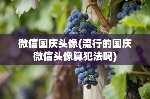 微信国庆头像(流行的国庆微信头像算犯法吗)