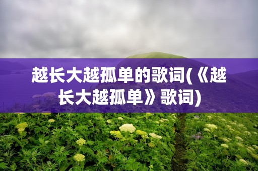 越长大越孤单的歌词(《越长大越孤单》歌词)