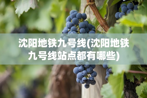 沈阳地铁九号线(沈阳地铁九号线站点都有哪些)