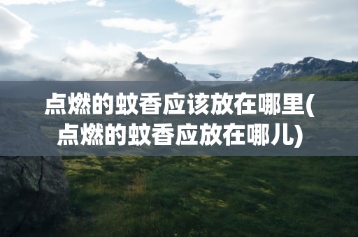 点燃的蚊香应该放在哪里(点燃的蚊香应放在哪儿)