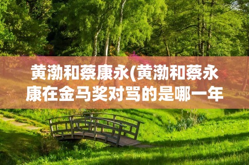 黄渤和蔡康永(黄渤和蔡永康在金马奖对骂的是哪一年啊)