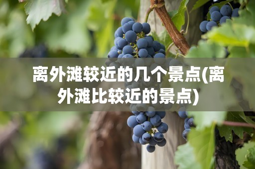 离外滩较近的几个景点(离外滩比较近的景点)