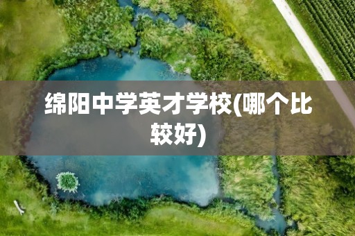 绵阳中学英才学校(哪个比较好)