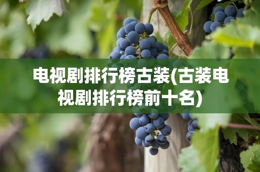 电视剧排行榜古装(古装电视剧排行榜前十名)
