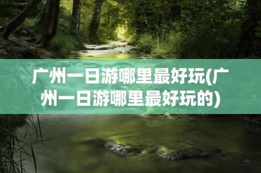 广州一日游哪里最好玩(广州一日游哪里最好玩的)