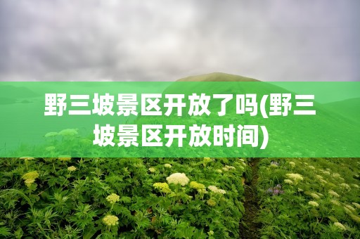 野三坡景区开放了吗(野三坡景区开放时间)