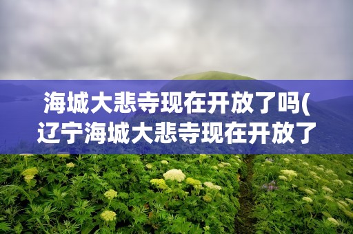 海城大悲寺现在开放了吗(辽宁海城大悲寺现在开放了吗)