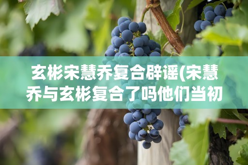 玄彬宋慧乔复合辟谣(宋慧乔与玄彬复合了吗他们当初为什么会分手呢)