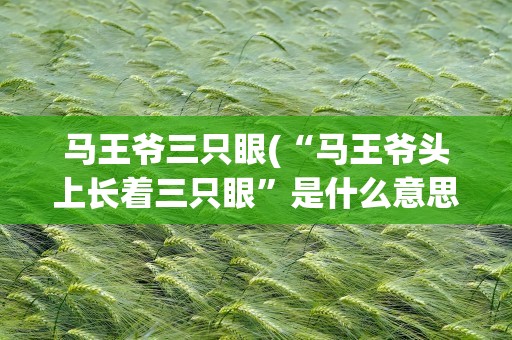 马王爷三只眼(“马王爷头上长着三只眼”是什么意思啊)