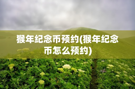 猴年纪念币预约(猴年纪念币怎么预约)